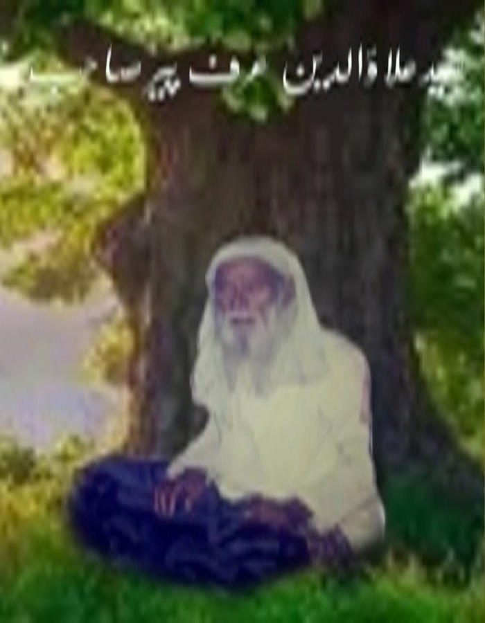 Syed Allauddin Shah Qadri
